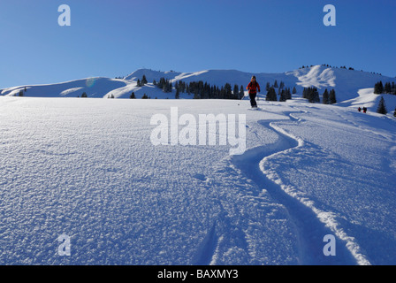 junge Frau Skifahren im Pulverschnee mit Raureif unter Hoellritzereck und Bleicherhorn, Allgäu Palette, Allgäu, Schwaben, Bav Stockfoto