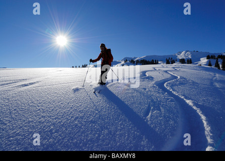 junge Frau Skifahren im Pulverschnee mit Raureif unter Hoellritzereck und Bleicherhorn, Allgäu Palette, Allgäu, Schwaben, Bav Stockfoto