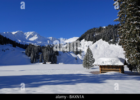 tief verschneite Heuhaufen mit Grünhorn, Galtoede, Melkoede, Schwarzwassertal, Kleinwalsertal, Allgäu reichen, Allgäu, Vorar Stockfoto