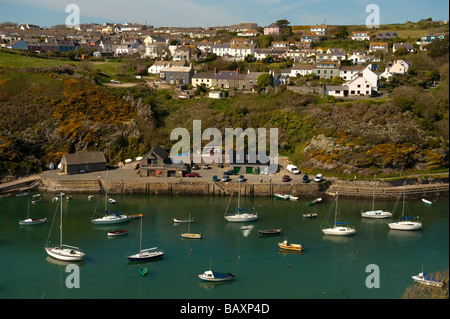 Boote und Yachten vertäut am Solva Hafen Pembrokeshire Coast National Park Wales UK Stockfoto