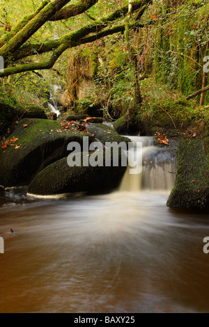 Ein kleiner Wasserfall Rauschen über Moos bedeckt Steinen in einen Pool unten viel Bewegung im Wasser Limousin-Frankreich Stockfoto