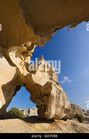 Bearrock, Capo d Orso, Sardinien, Italien Stockfoto