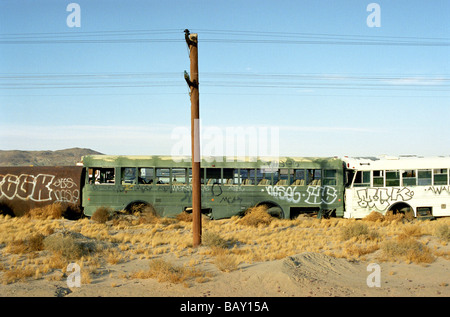 Alte Busse auf einem Schrottplatz, Mojave-Wüste, Kalifornien, USA Stockfoto