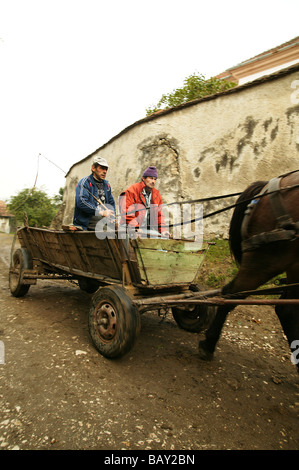 Zwei Männer auf einem Pferd gezogenen Fahrzeug, Siebenbürgen, Rumänien Stockfoto