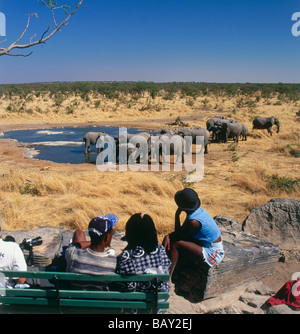Touristen auf einer Safari beobachten Sie Elefanten am Wasserloch, Etosha Nationalpark, Namibia, Afrika Stockfoto