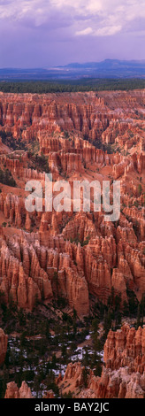 Bryce Amphitheater, Bryce-Canyon-Nationalpark, Utah, USA Stockfoto