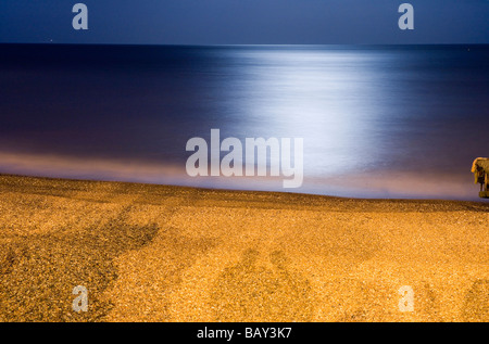 Mondlicht Reflexion, Strand von Eastbourne, East Sussex, England, Europa Stockfoto
