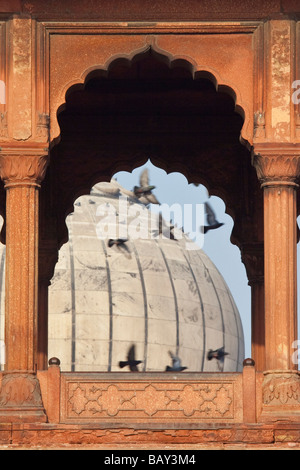 Jama Masjid oder Freitagsmoschee in Delhi Indien Stockfoto