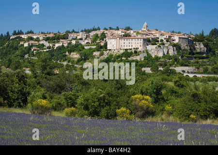 Blühende Lavendelfeld vor dem Dorf Sault, Vaucluse, Provence, Frankreich Stockfoto