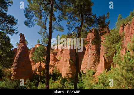 Ocker Steinbruch im Sonnenlicht, Roussillon, Vaucluse, Provence, Frankreich Stockfoto