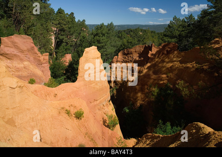 Ocker Steinbruch im Sonnenlicht, Roussillon, Vaucluse, Provence, Frankreich Stockfoto
