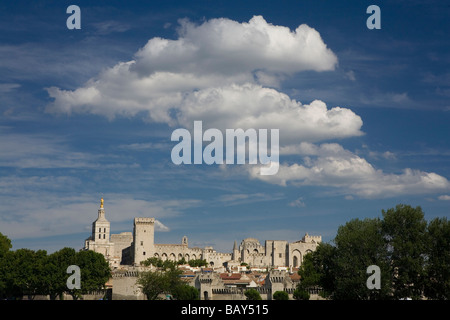 Blick auf den Palast der Päpste, Avignon, Vaucluse, Provence, Frankreich Stockfoto