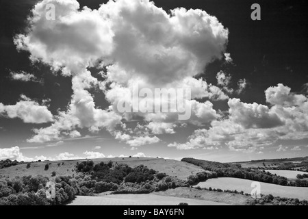 Blick auf das Meon Valley und den South Downs aus alten Winchester Hill, Hampshire, UK Stockfoto