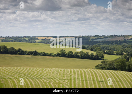 Blick auf das Meon Valley und den South Downs aus alten Winchester Hill, Hampshire, UK Stockfoto