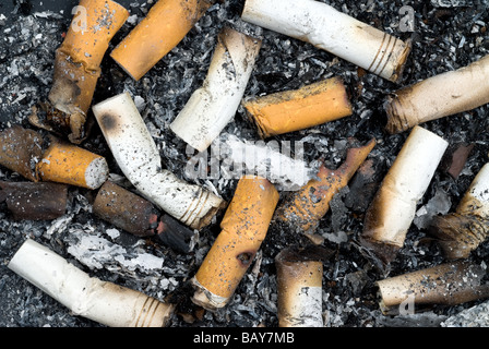 Zigarettenkippen und Asche aus einem Aschenbecher Stockfoto
