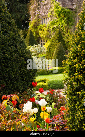 Blick über Tulpe Bett Teil des keltischen Kreuz Knoten Garten und Haus im Abbey House Gärten Malmesbury Wiltshire England UK Stockfoto