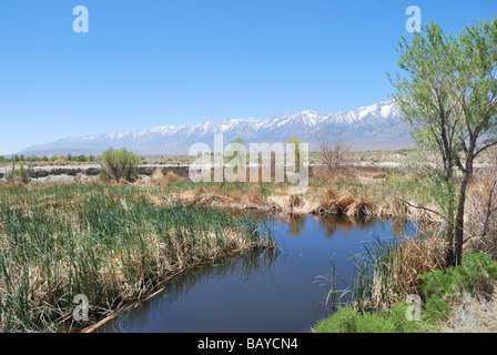 Owens River und den östlichen Hang der Sierra Nevada in Kalifornien in der Nähe von Unabhängigkeit und U.S. Highway 395 Stockfoto