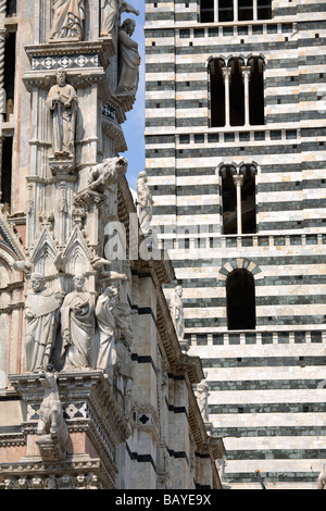 Detail der Duomo Santa Maria Assunta und dem Glockenturm, Siena, Toskana, Italien Stockfoto