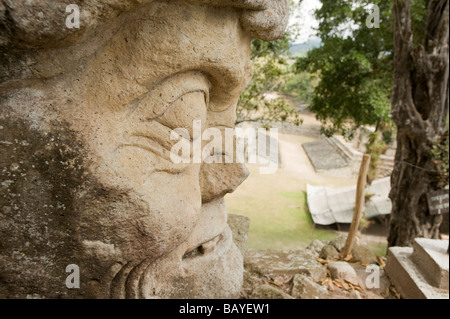 Copan Ruinas Maya-archäologischer Park, Honduras. Stockfoto