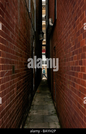 Die Parliament Street in Exeter, Großbritannien, geglaubt, schmalste Straße der Welt. Es ist 25' an der schmalsten Stelle Stockfoto