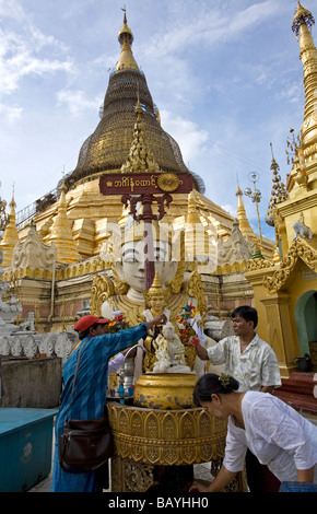 Burmesische Anhänger gießt Wasser und Opfergaben an Buddha. Shwedagon-Pagode. Yangon. Myanmar Stockfoto