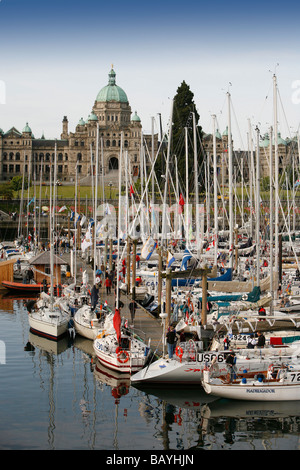 Segelschiffe in den Inner Harbour für die Swiftsure-Regatta in Victoria, BC, Kanada. Stockfoto