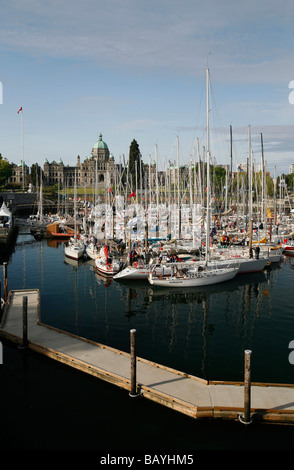 Segelschiffe in den Inner Harbour für die Swiftsure-Regatta in Victoria, BC, Kanada. Stockfoto