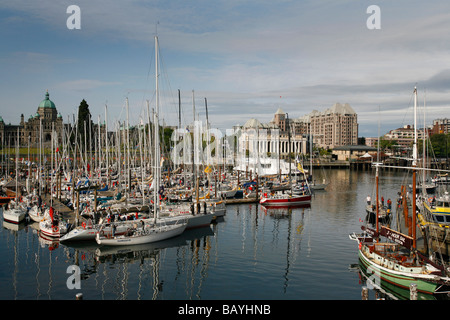 Segelschiffe in den Inner Harbour für die Swiftsure-Regatta in Victoria, BC, Kanada. Stockfoto