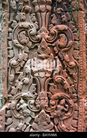 Basrelief Khmer Design geschnitzt in eine Wand Ta Prohm Tempel, Angkor, Kambodscha. Stockfoto