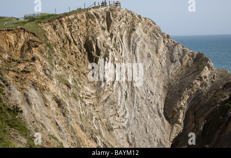 Lulworth Crumple. Falten in sedimentären Kalkfelsen Stair Hole, Dorset, England Stockfoto