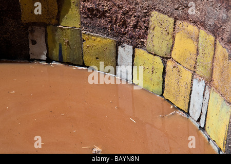 Gekachelte MwSt. von gelben Farbstoff in der Chouara Gerberei in der Medina. Die leuchtende gelbe Farbe entsteht aus Safran. Stockfoto