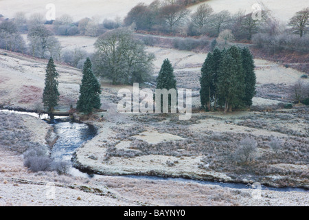 Matt weiße Winterlandschaft durch den Fluß Barle in Cornham Bremse bei Simonsbath Exmoor Nationalpark Somerset England Stockfoto