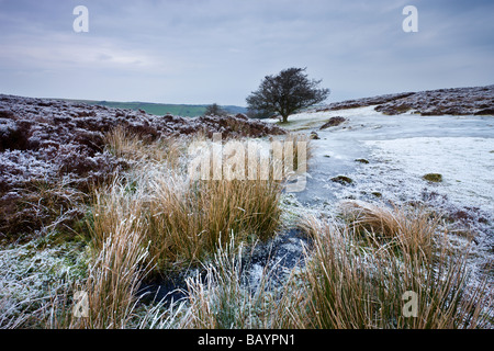 Schnee und Eis auf Porlock häufig in Winter Exmoor Nationalpark Somerset England Januar 2009 Stockfoto