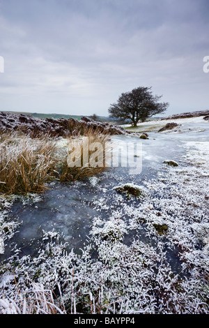 Schnee und Eis auf Porlock häufig in Winter Exmoor Nationalpark Somerset England Januar 2009 Stockfoto