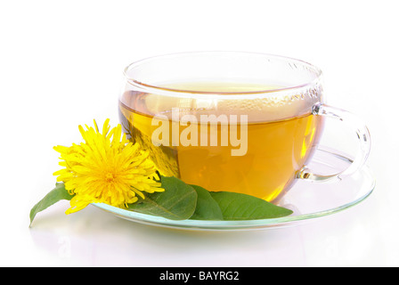 T-Stück Löwenzahn Tee Löwenzahn 01 Stockfoto