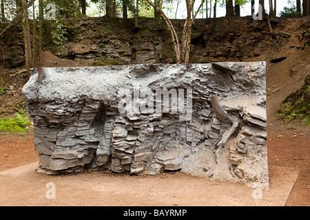 UK Gloucestershire Wald von Dean Sculpture Park Echo von Annie Cattrell Besetzung vom Gesicht der Kensley Steinbruch Stockfoto