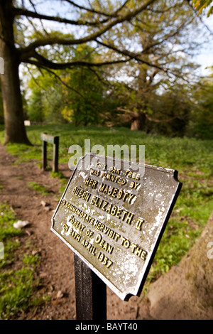 UK Gloucestershire Forest of Dean Rede House Plaque Kennzeichnung Eiche gepflanzt von Königin Elizabeth II. im Jahre 1957 Stockfoto