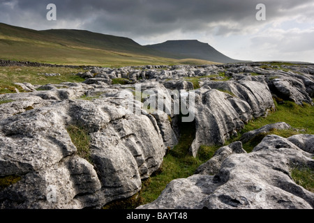 Muster in das stark verwitterte Kalkstein Pflaster auf Ingleborough, in der Yorkshire Dales National Park, North Yorkshire, UK Stockfoto