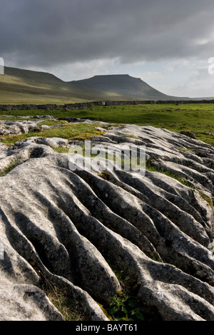 Muster in das stark verwitterte Kalkstein Pflaster auf Ingleborough, in der Yorkshire Dales National Park, North Yorkshire, UK Stockfoto