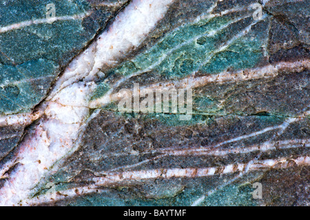 Quarzadern im grünen Rock South Devon England Februar 2009 Stockfoto