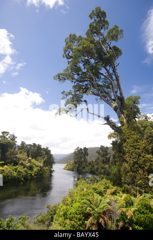 Lake Moeraki Westküste Südinsel Neuseeland Stockfoto