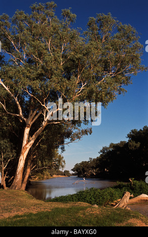 Cooper Creek, Südaustralien Stockfoto