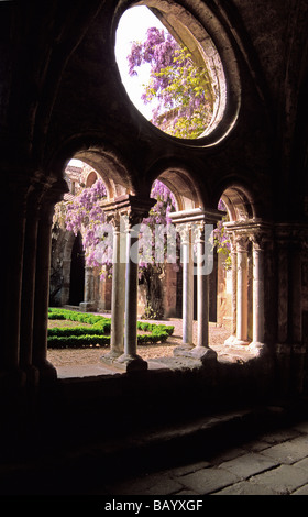 Blick auf das Kloster Fontfroide Abtei, Languedoc, Frankreich Stockfoto