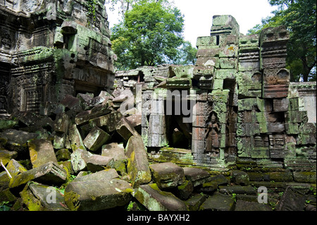 Ta Prohm Tempel, Angkor, Kambodscha. Stockfoto