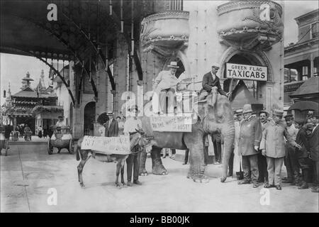 Elefanten und Esel im Luna Park Stockfoto