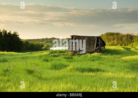 Alten, verlassenen Bauernhaus in Grass Field, Alberta, Kanada Stockfoto