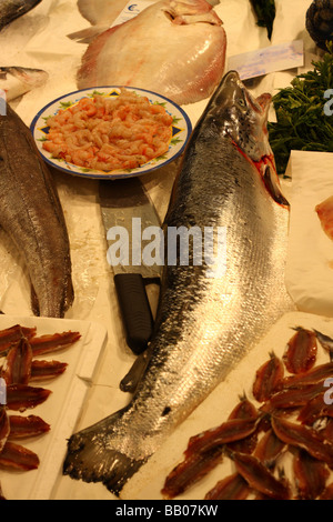 Lachs Fisch auf einem Markt in Rom, Italien. Stockfoto