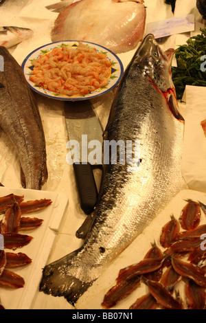 Lachs Fisch auf einem Markt in Rom, Italien. Stockfoto