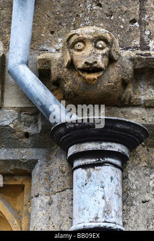 15. Jahrhundert Wasserspeier in St.Peters Kirche, Winchcombe, Gloucestershire. Stockfoto