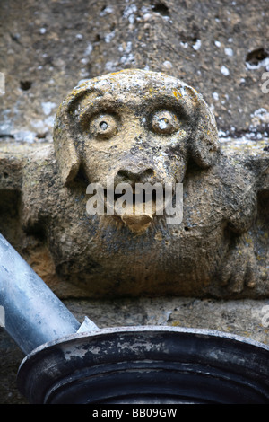 15. Jahrhundert Wasserspeier in St.Peters Kirche, Winchcombe, Gloucestershire. Stockfoto